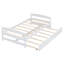 Lit plateforme simple avec structure en bois massif et lit gigogne simple - Lit compact pour chambre d'amis, blanc-444856382