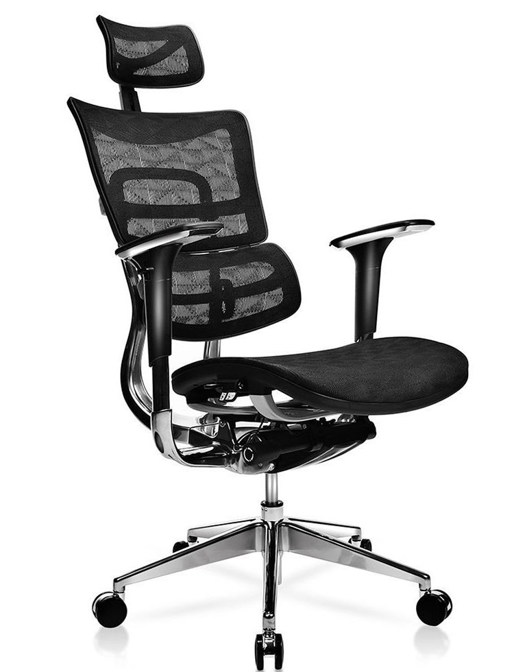 Brayden Studio® Canarsie Ergonomic Mesh Task Chair with Headrest