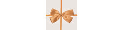 Logo Perfect Holiday Elegance LLC.