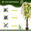 160 cm H Faux Tree Plant in Cement Pot