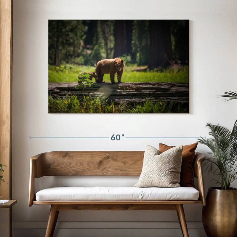 Crowle Sequoia Wild Bears