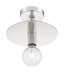 Polished Nickel