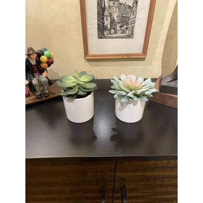 Plante grasse artificielle 7 po dans un pot en céramique blanche