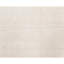 Area Rug in Beige