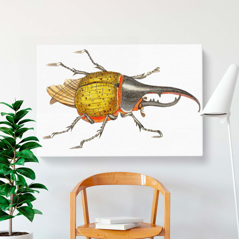 Hercules Beetle by George Shaw - Wrapped Canvas, 40cm H x 60cm W x 3cm D