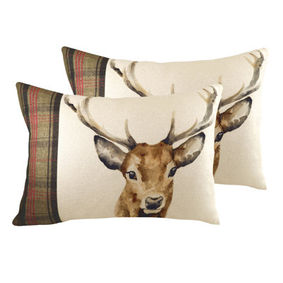 Cushion