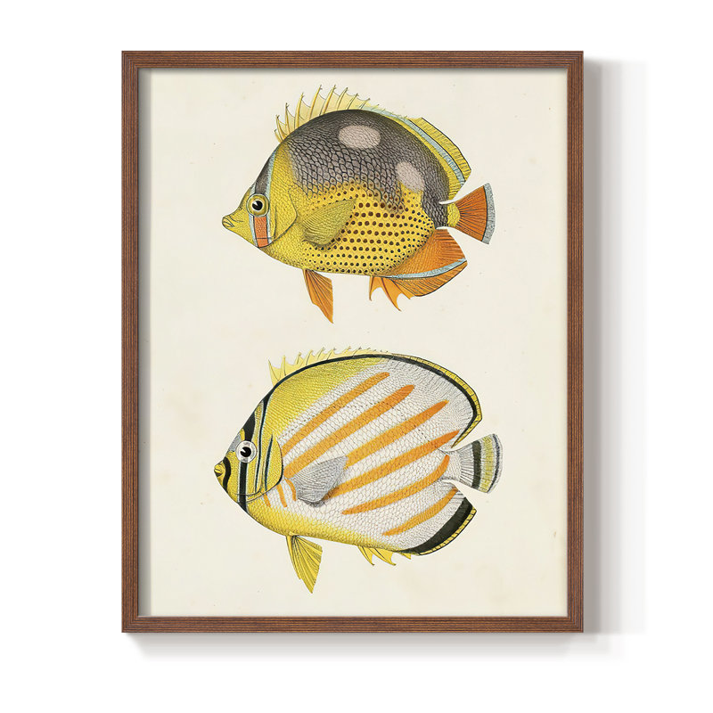 «Yellow & Gray Fish IV», reproduction encadrée - bois massif, Brun, H 20 po x l 16 po