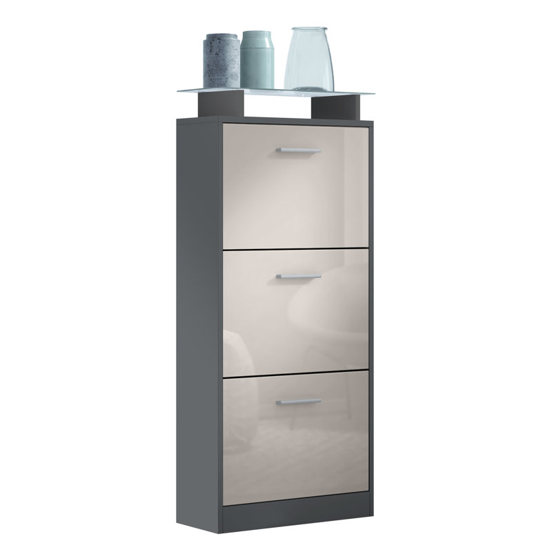 12 Pair Shoe Storage Cabinet, Anthracite/Sand gray