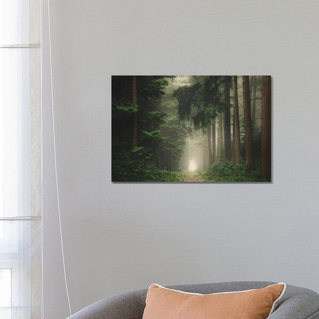 Grüner nebliger und stimmungsvoller Wald von Rob Visser - Galerie-verpackte Leinwand Giclée