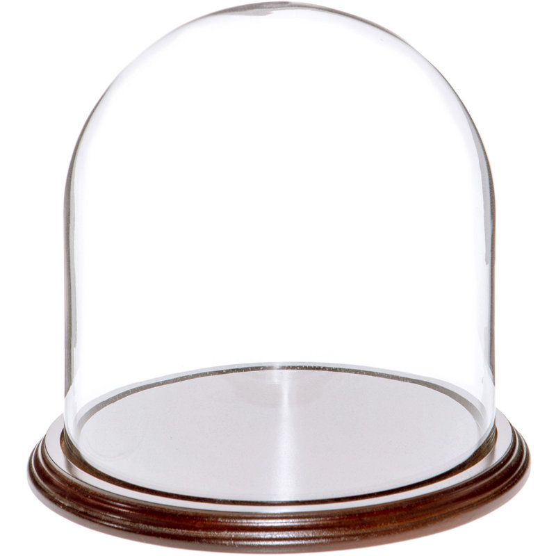 Cloche à dôme en verre 9,75 "x 15" Vucciria, 8" H x 8" W x 8" D, Base en placage d'acajou foncé