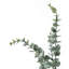 Arbre artificiel d'eucalyptus de 44 pouces, feuilles de soie verte avec pot noir