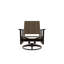 Wexler Outdoor Swivel Lounge Chair-1099678792-1102391102