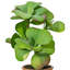 Plante grasse artificielle en pot