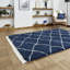 Pechler area rug Machine Woven Navy-402641769