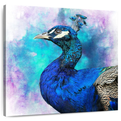 Brampt Proud Blue Peacock