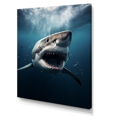 Requin bleu apex photo sur toile
