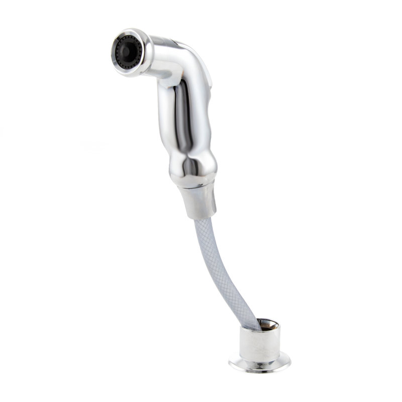 Rembrandt Single Handle Kitchen Faucet with Accessories, Chrome