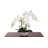 Phalaenopsis Orchid Floral Arrangement in Vase-136407377