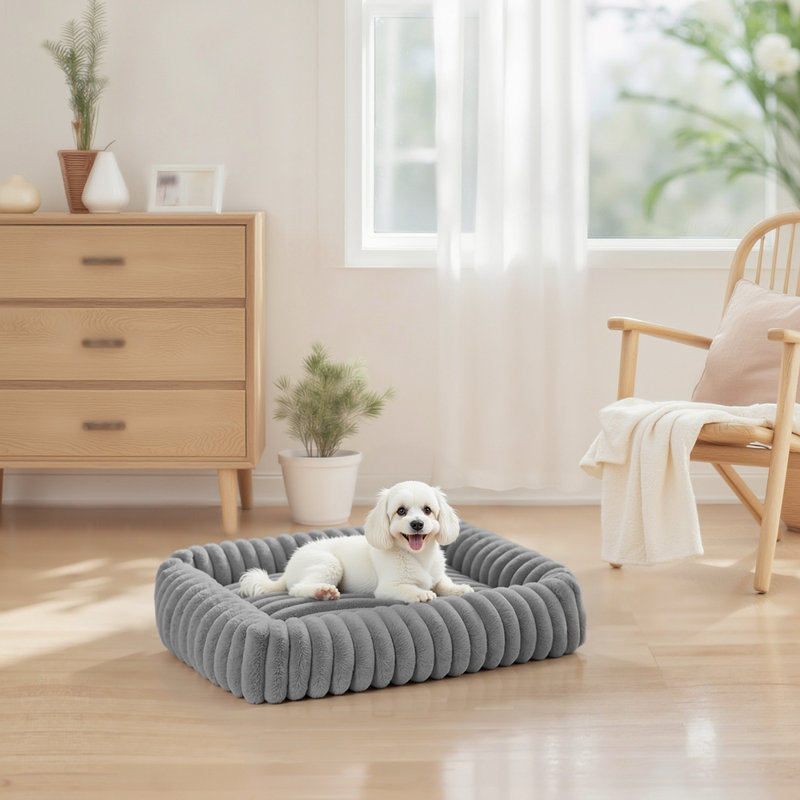 Tous les lits pour chien