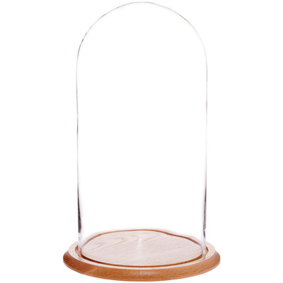 Vucciria Glass Display Dome Cloche