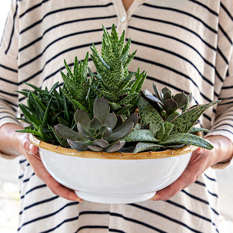 Bamboo 11" Serving Bowl - Natural/White