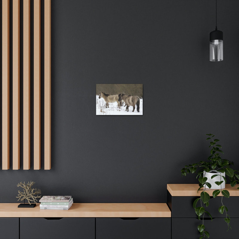 Wall Art on Canvas, 27.94cm H x 35.56cm W