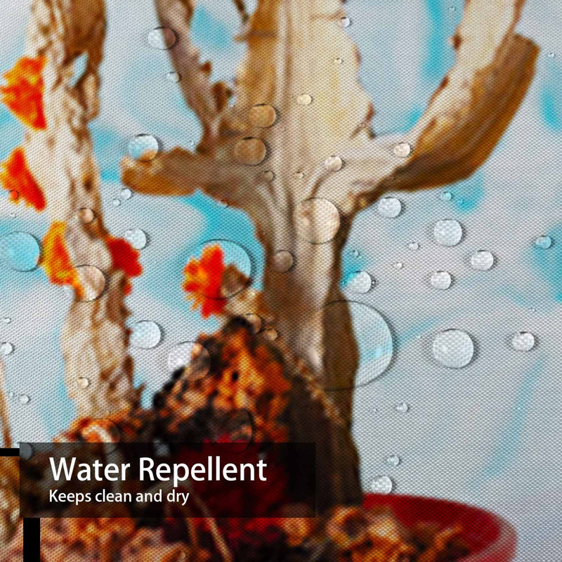 Drôle de rideau de douche à eau avec 12 crochets, L 72 po x l 78 po