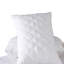 Olavarria Mattress Protector Case Pack