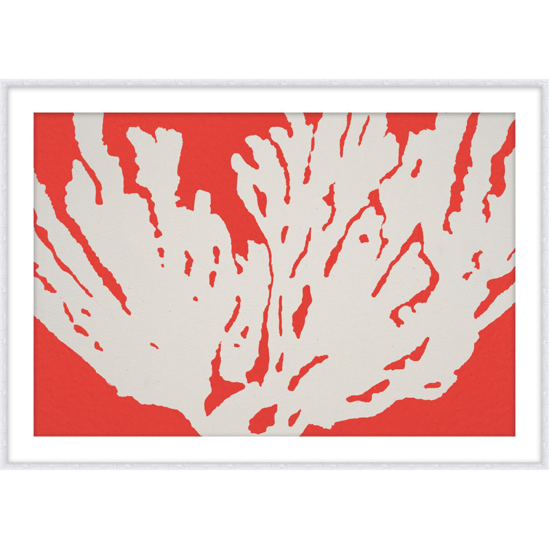 Coral 4 Print by Jennifer Mckinnon Richman, 23.2" H x 32.2" W
