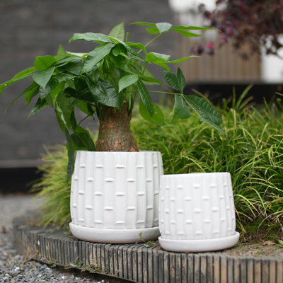 Pot à fleurs orchidée en céramique émaillée à la main avec drainage (ensemble de 2)