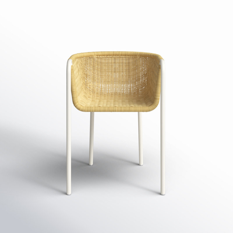 Kamille Rattan and Metal Outdoor Dining Chair