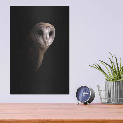 " Owl " by Incado Painting Print