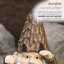 Statue gnome avec lanterne