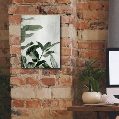 'Ficus' by Svetlana Aleynikova Canvas Wall Art