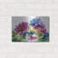 «Anemones» par Schuyler Rideout