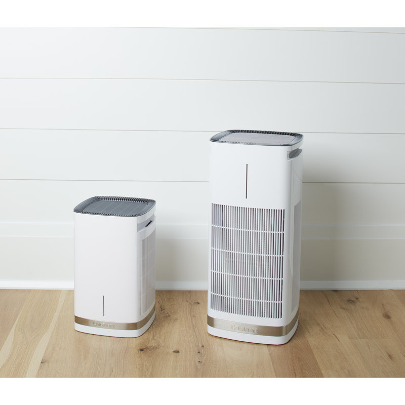 White and Gray Countertop Air Purifier with HEPA Filter
