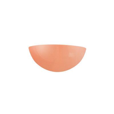 Raines Ceramic Flush Mounted Sconce