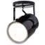 1 - Light Spotlight-1465935062