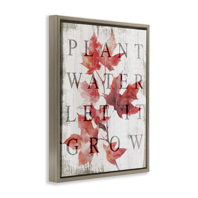 Cadre flottant Plant Water Let It Grow, design par Lil 'Rue, H 21 po x l 17 po, Cadre flottant orme Montalcino