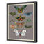 Entomology Moths Chart Print by Thicket Design
