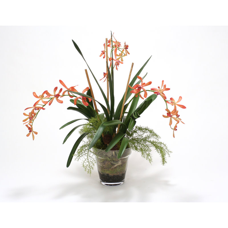 Polysilk Orchid Arrangement in Pot