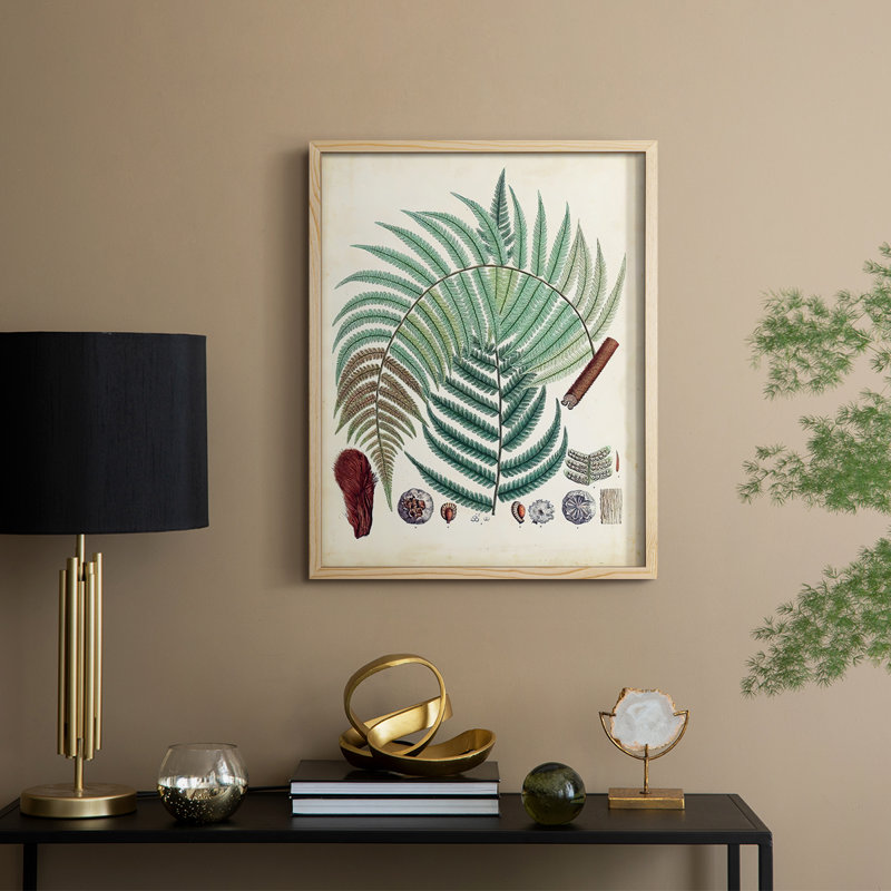 Collected Ferns I Framed Print - Solid Wood, Natural, 30" H x 24" W