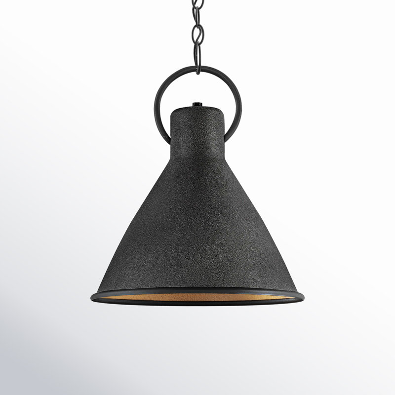 Dax 1 - Light Black Single Pendant, Aged Zinc, 15.5" H x 12.25" W x 12.25" D