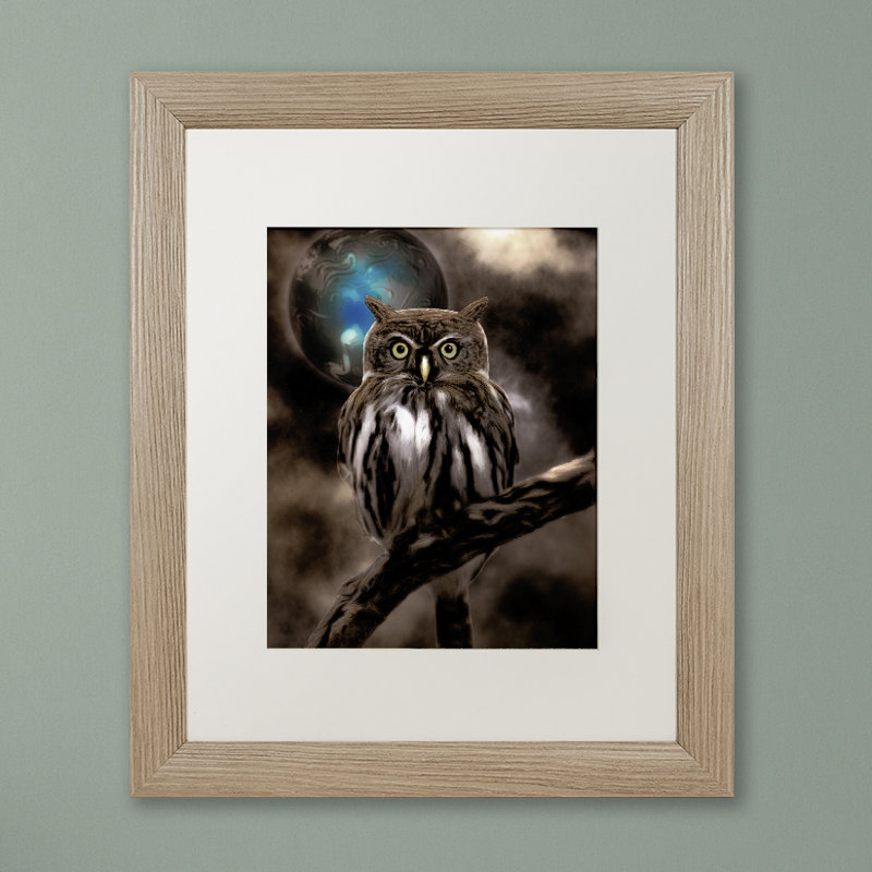 «Jadaya Night Owl» par Color Bakery, impression encadrée, Blanc, H 20 po x l 16 po x P 0,5 po, Toile encadrée noire