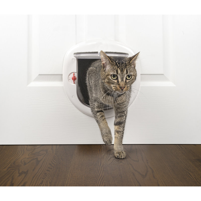 Premier Pet Locking Cat Door