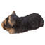 Yorkshire Terrier Puppy Sleeping Statue
