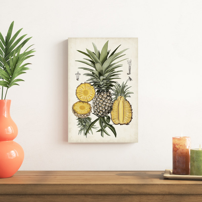 Ananas, étude botanique I, H 18 po x l 12 po x P 1,25 po