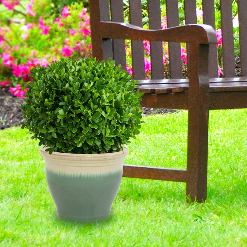 Jardinière extérieure Berlina, H 12,5 po x l 15 po x P 15 po, Écume de mer, écume de mer