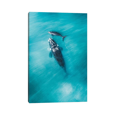 Peaceful Whales III by Jaxon Roberts - Wrapped Canvas Gallery-Wrapped Canvas Giclée