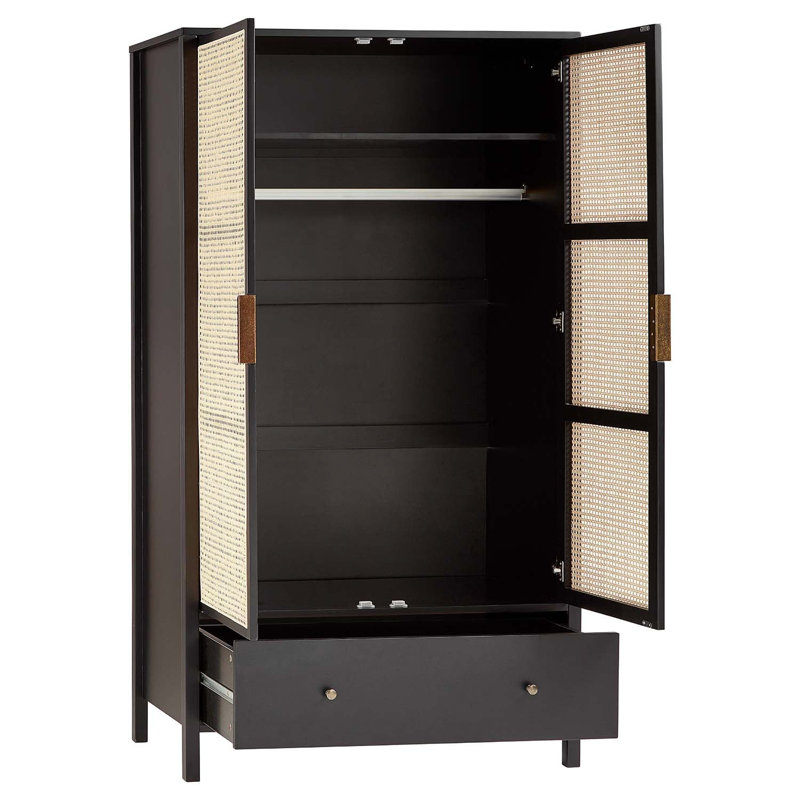 Tenaya 2 Door Solid + Manufactured Wood Wardrobe, Black